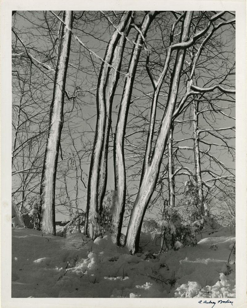 34-501 (click for large image)